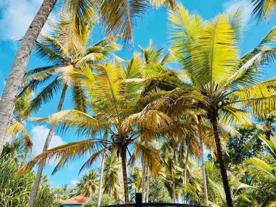 Palm House - Luxury Villa - Samana - Ocean Front Sánchez 외부 사진