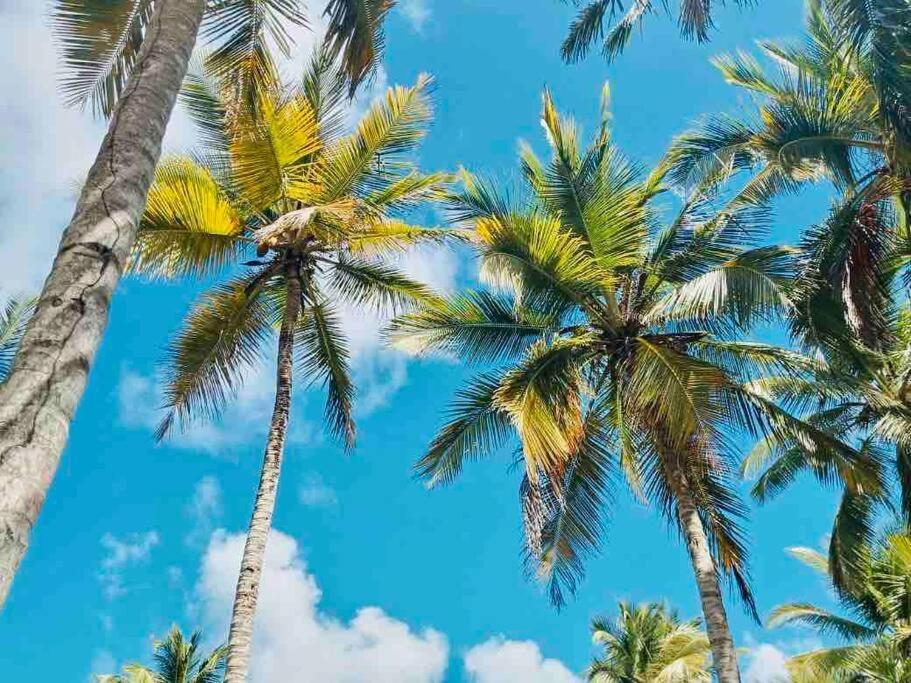 Palm House - Luxury Villa - Samana - Ocean Front Sánchez 외부 사진