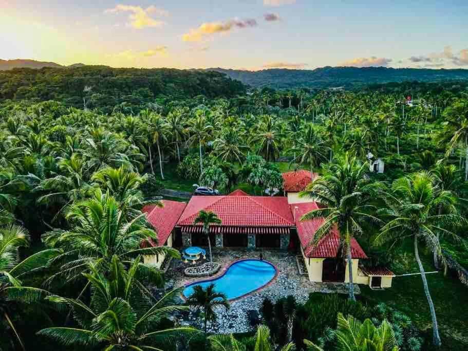Palm House - Luxury Villa - Samana - Ocean Front Sánchez 외부 사진