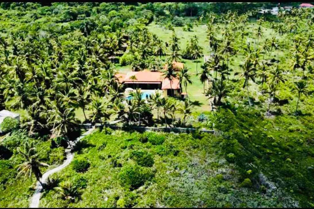 Palm House - Luxury Villa - Samana - Ocean Front Sánchez 외부 사진