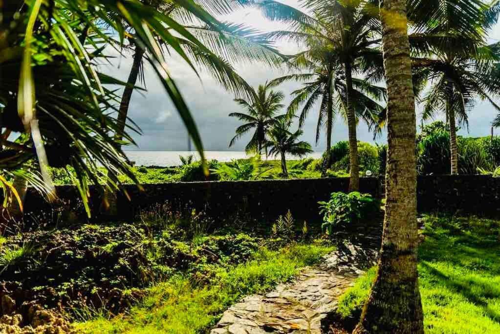 Palm House - Luxury Villa - Samana - Ocean Front Sánchez 외부 사진