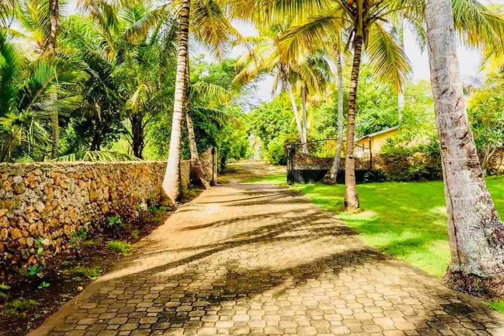 Palm House - Luxury Villa - Samana - Ocean Front Sánchez 외부 사진