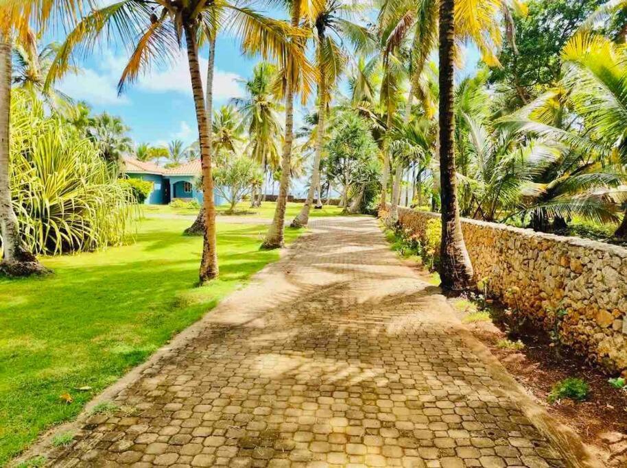 Palm House - Luxury Villa - Samana - Ocean Front Sánchez 외부 사진