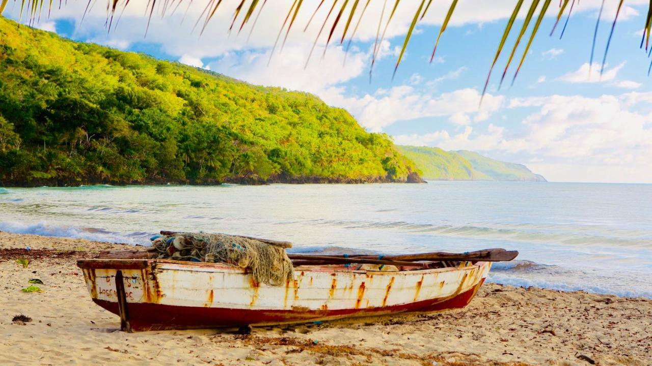 Palm House - Luxury Villa - Samana - Ocean Front Sánchez 외부 사진