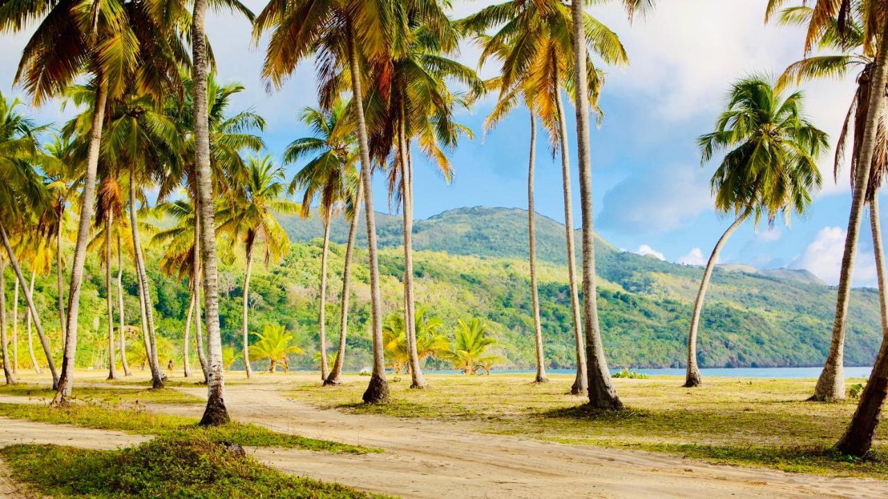 Palm House - Luxury Villa - Samana - Ocean Front Sánchez 외부 사진