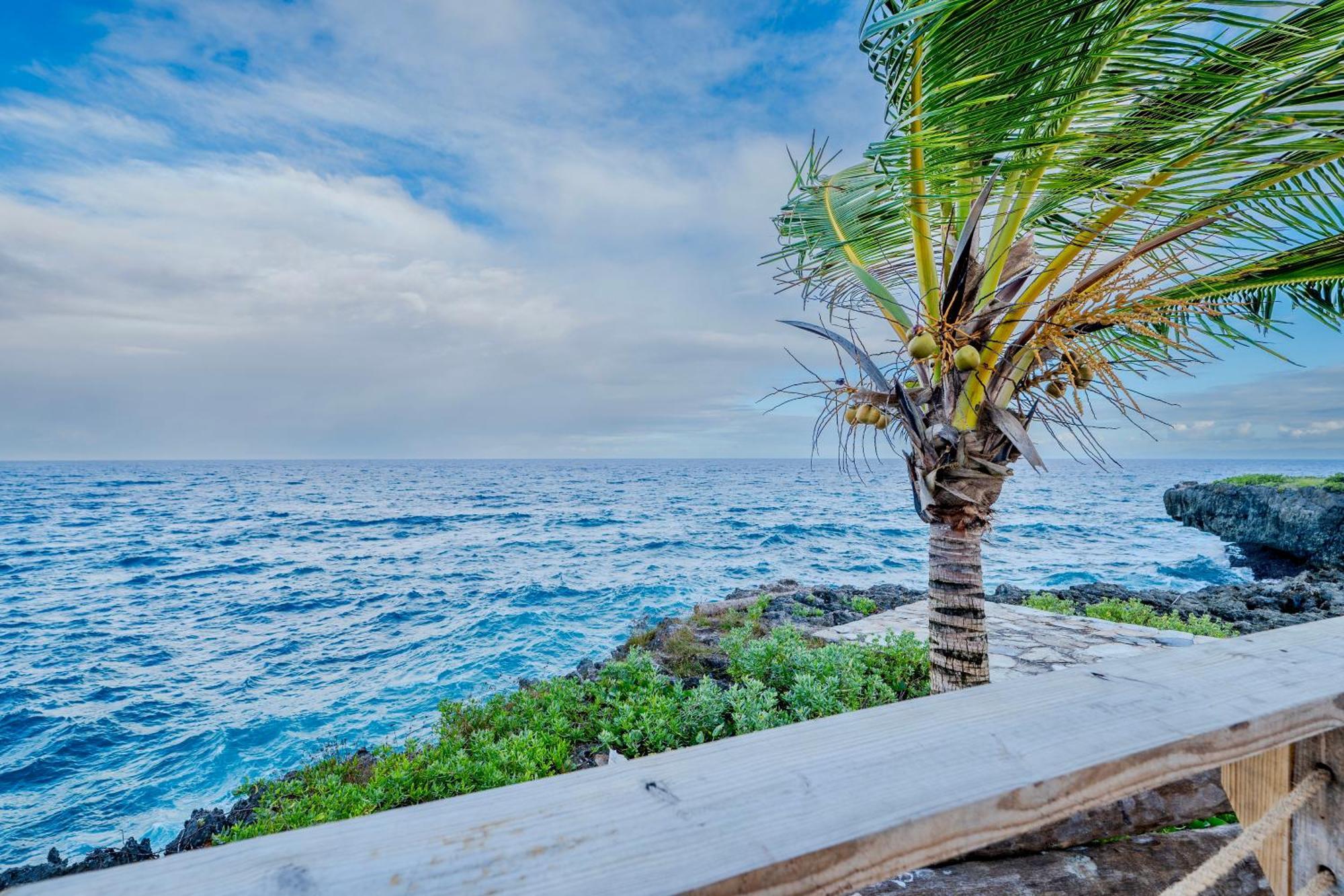 Palm House - Luxury Villa - Samana - Ocean Front Sánchez 외부 사진